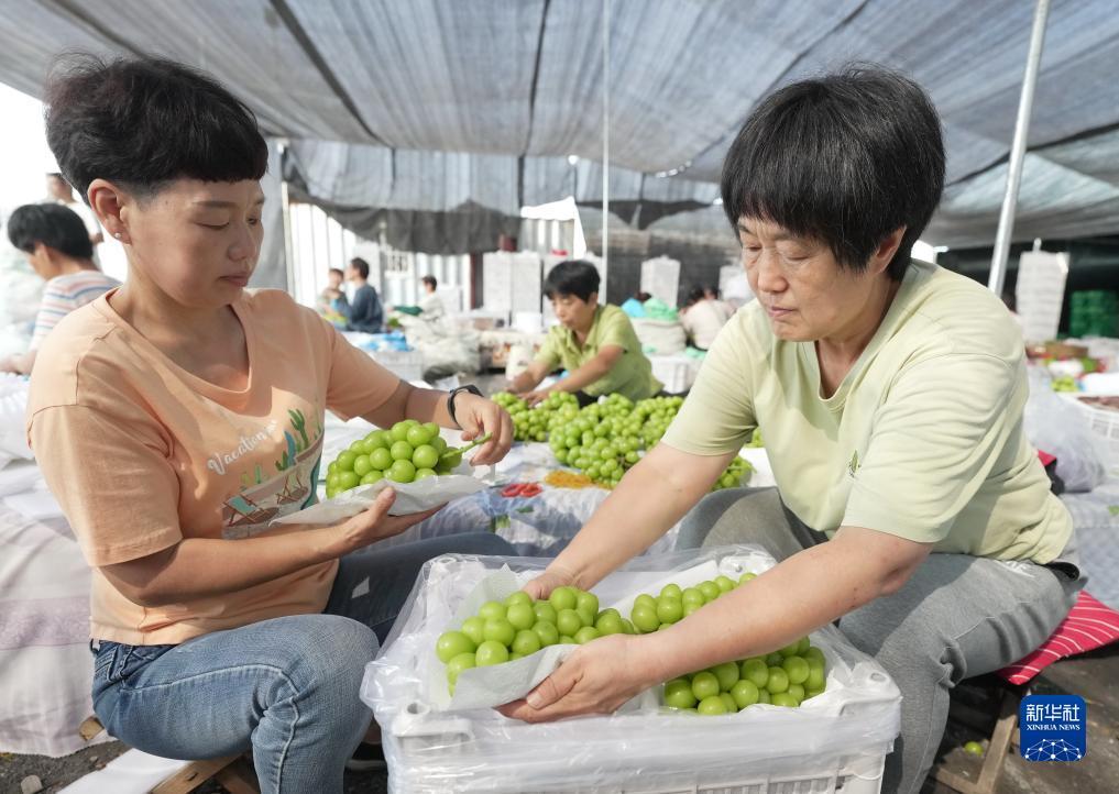大奖游戏官方网站